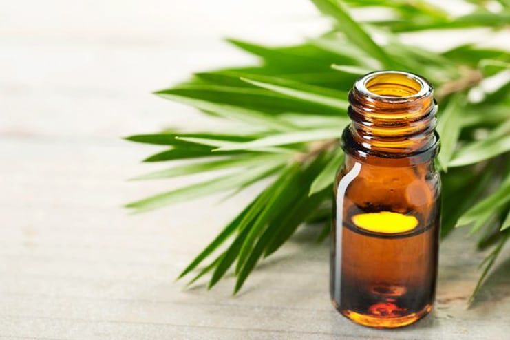 Tea Tree Oil for Foot Odor