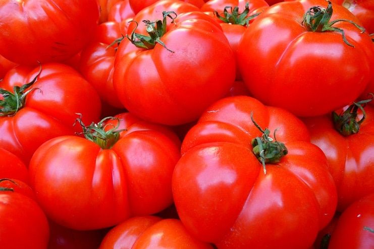 Tomato for Varicose Veins