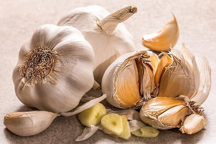 Garlic for Varicose Veins