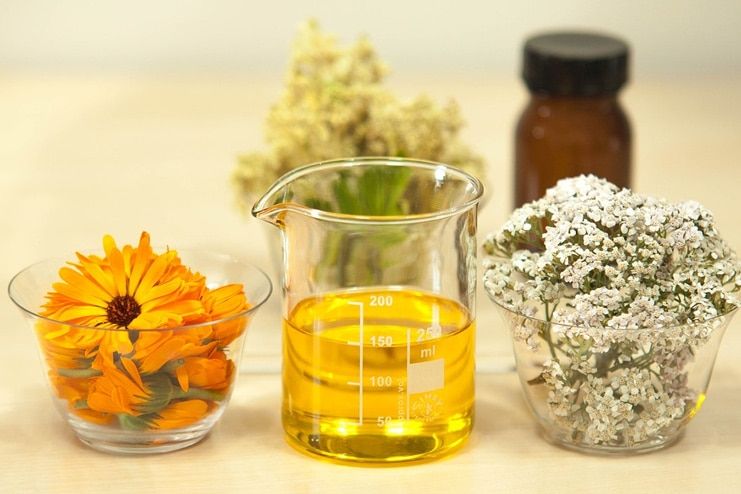 Marigold for Varicose Veins