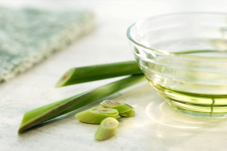 Lemongrass Oil for Varicose Veins