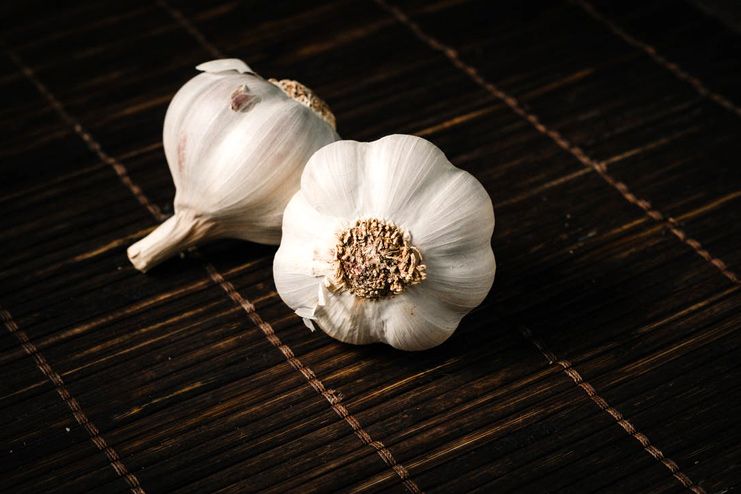 Garlic