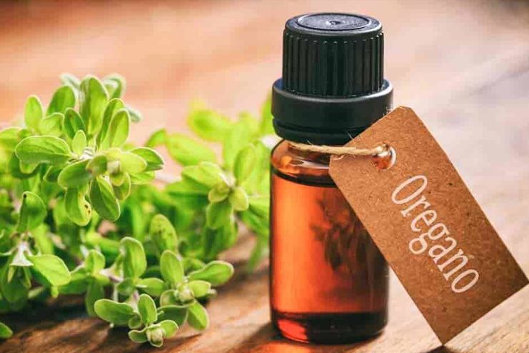 Oregano Oil