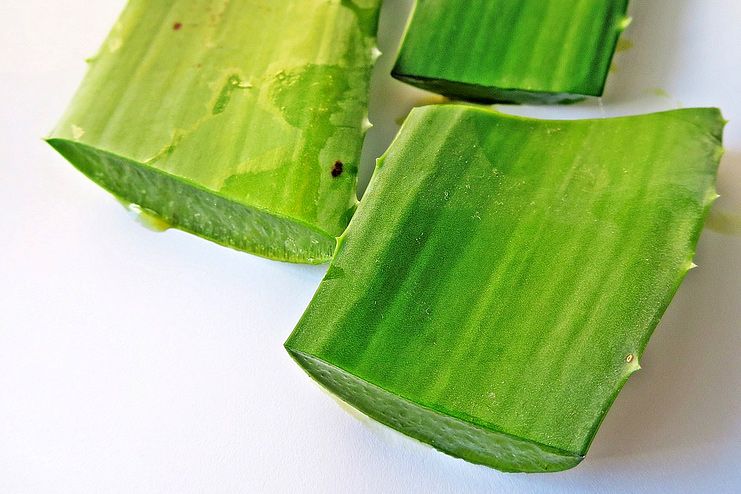 Aloe Vera for Keratosis Pilaris