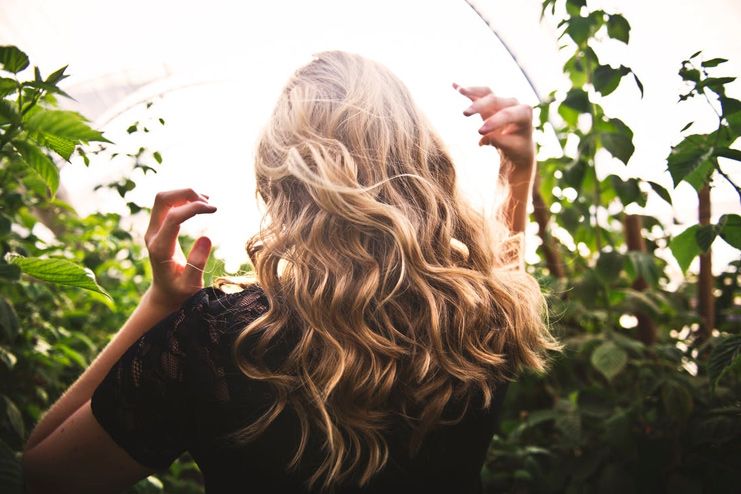 Benefits of Sunflower Seeds for Hair