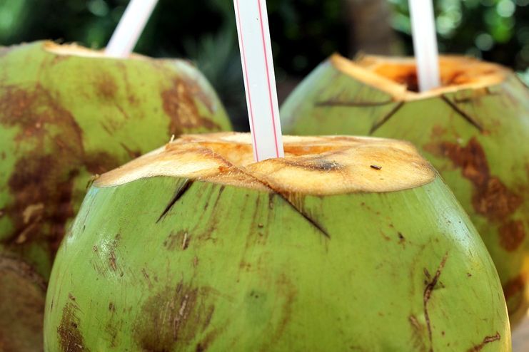 Coconut Water for Dehydration