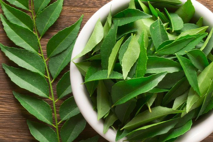 Curry Leaves