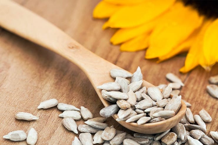 Health Benefits of Sunflower Seeds