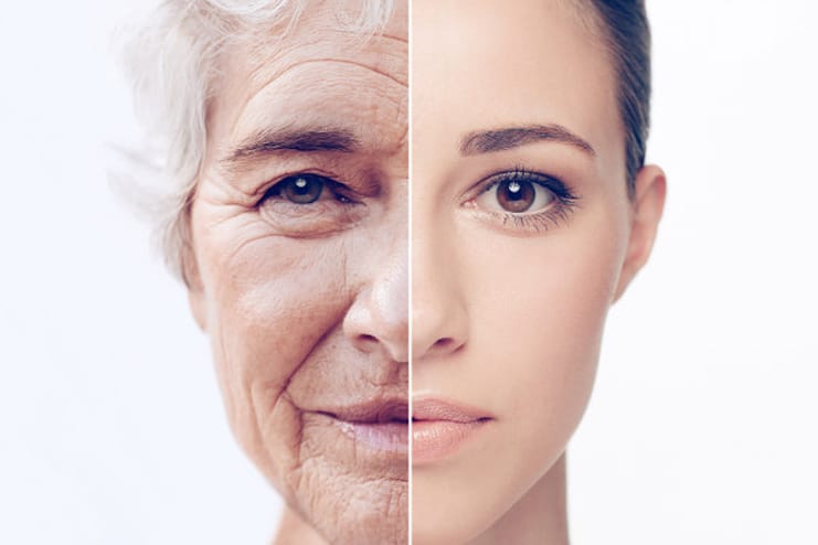 Imposes Anti-Aging properties