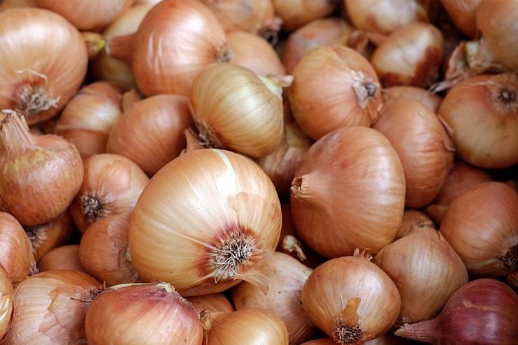 Onion for Keloids