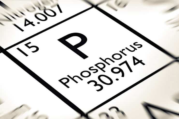 Phosphorus toxicity