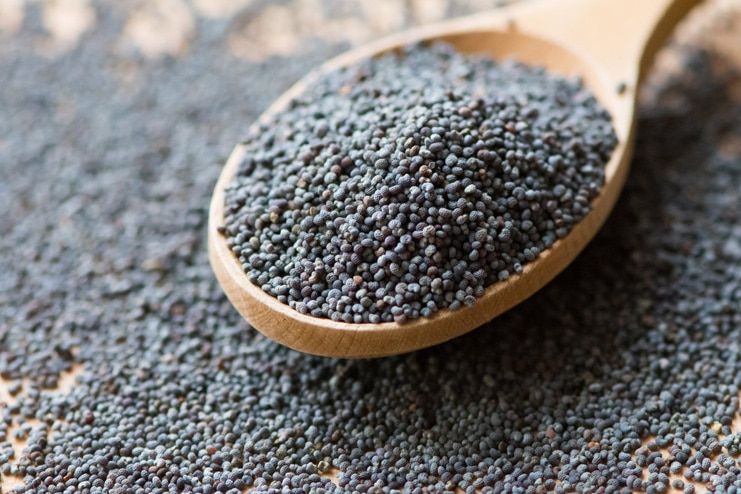 Poppy Seeds