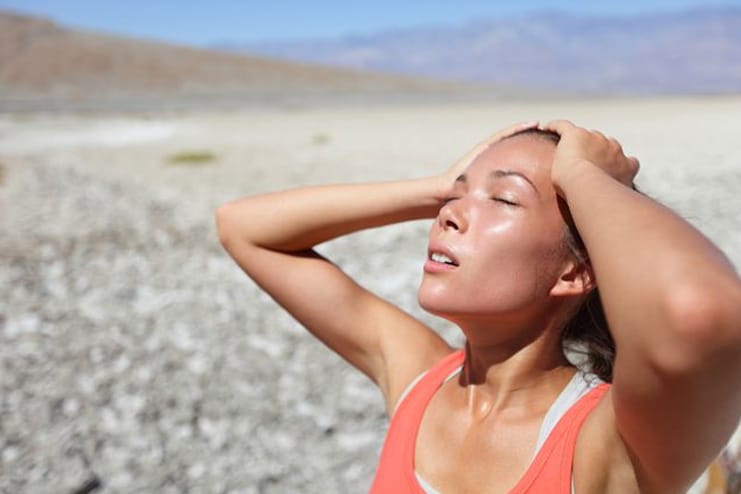 Symptoms of elevation of Body Heat