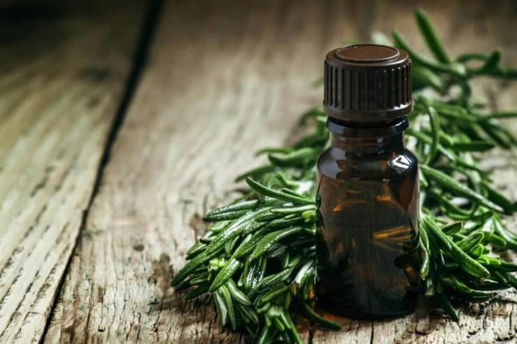 Tea Tree Oil for BV