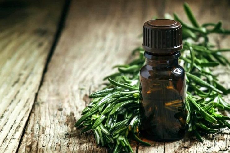 Tea Tree Oil for Keloids