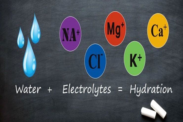 Why are electrolytes important