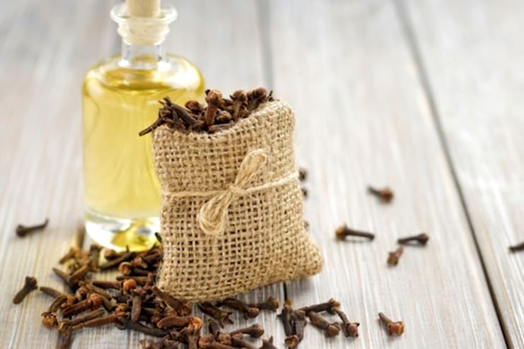 Clove Oil by itself