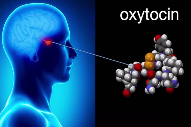 Does Oxytocin Impact Bad Memories
