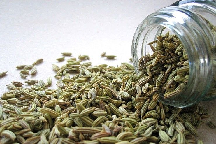 Fennel Seeds for Dry Eyes