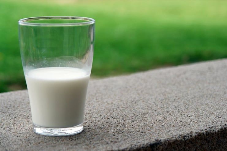 Fresh Milk for Platelet Count