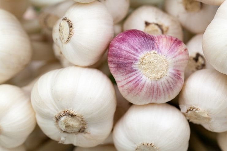 Garlic for Endometriosis