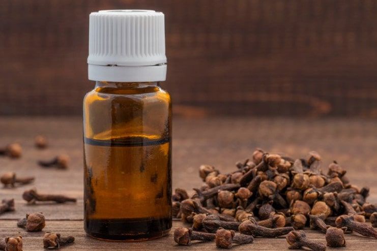 How Often Can You Use Clove Oil For Dry Socket