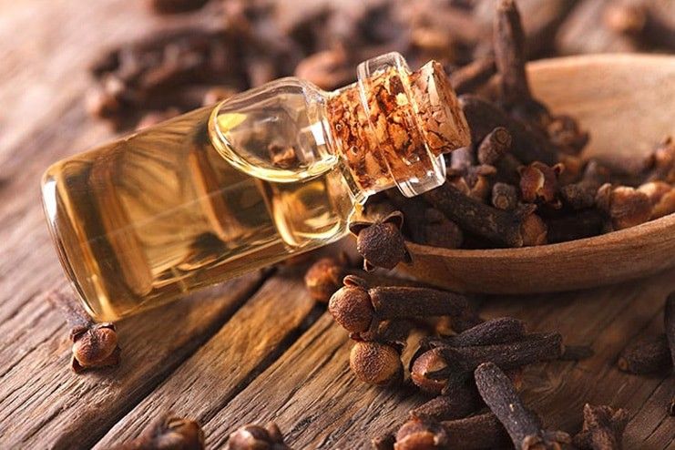 How to apply Clove Oil for Dry Socket