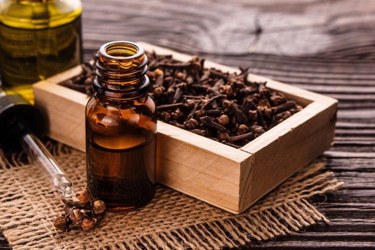 Is it safe to use clove oil for dry socket