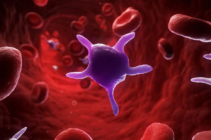 What Causes Low Platelets
