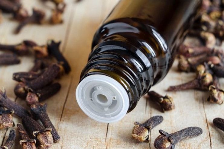 What Kind Of Clove Oil For Dry Socket