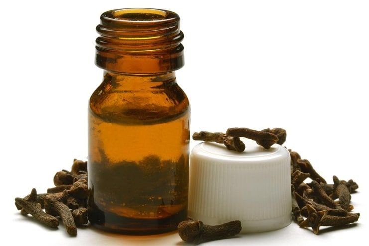 Where to Buy Clove Oil for Dry Socket