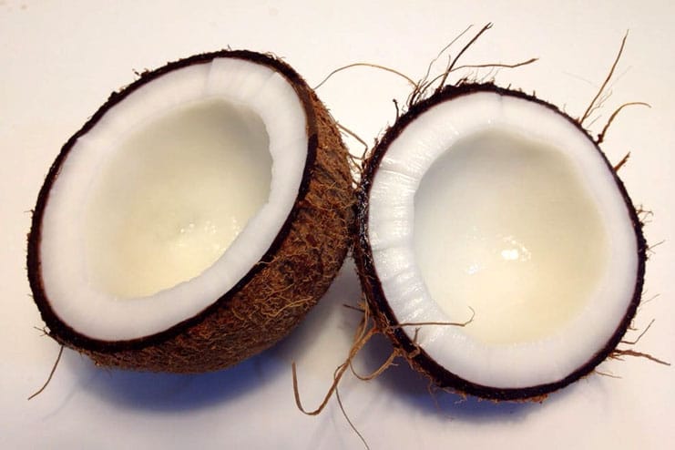 Coconut