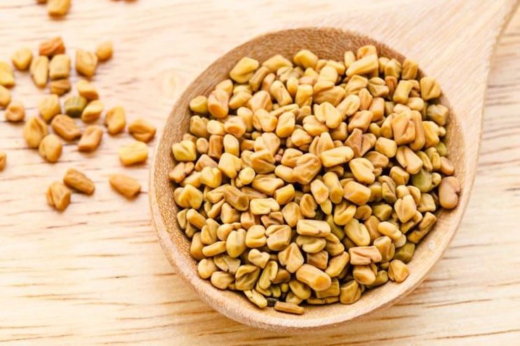 Fenugreek