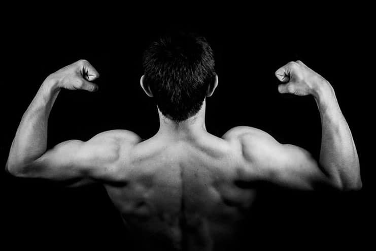 Muscle building and muscle repair