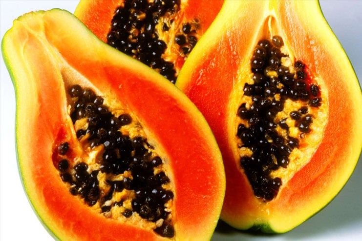 Papaya