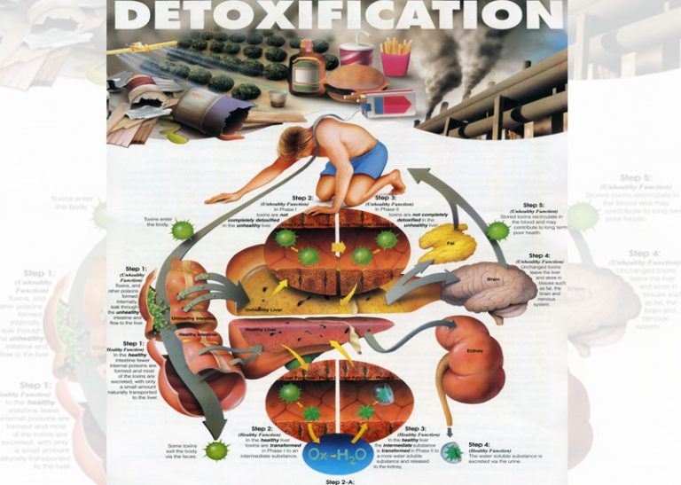 Food good for detoxification