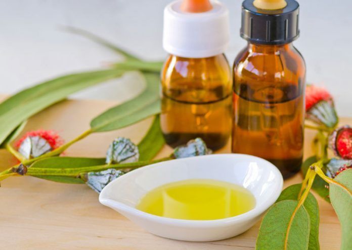 benefits of Eucalyptus essential oil