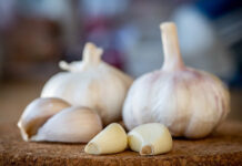 Amazing Health Benefits of Garlic Amazing-Health-Benefits-of-Garlic