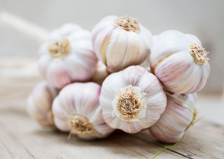 Amazing Health Benefits of Garlic