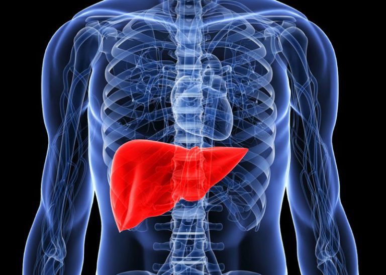 5 Foods that Will Naturally Cleanse your Liver