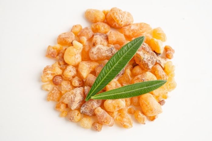 Boswellia Serrata The Supplement That Deserves More Attention