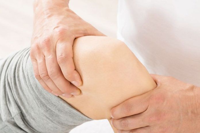 herbs to fight osteoarthritis pain