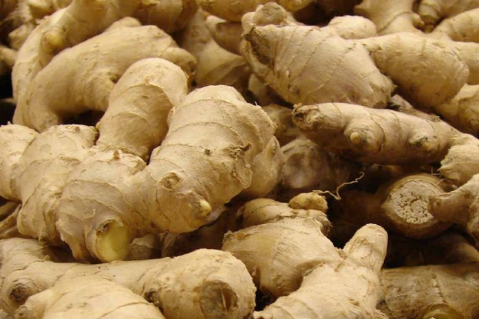 10 health benefits of ginger