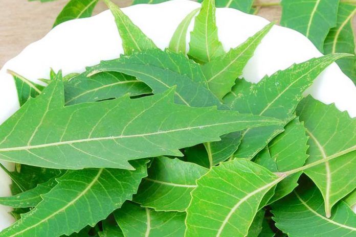 side effects of neem