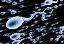 Important Ways To Keep Your Sperm Healthy keep your sperm healthy