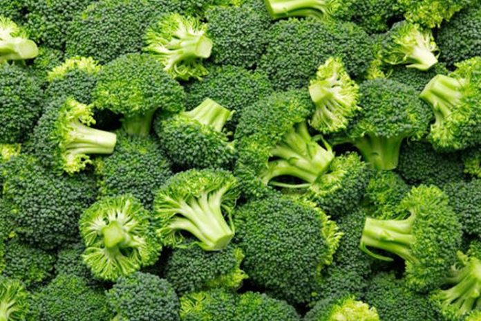 benefits of eating broccoli