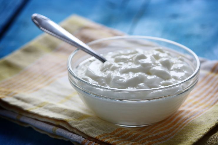 Plant-Based Yogurt