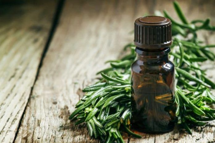 tea tree oil for hair