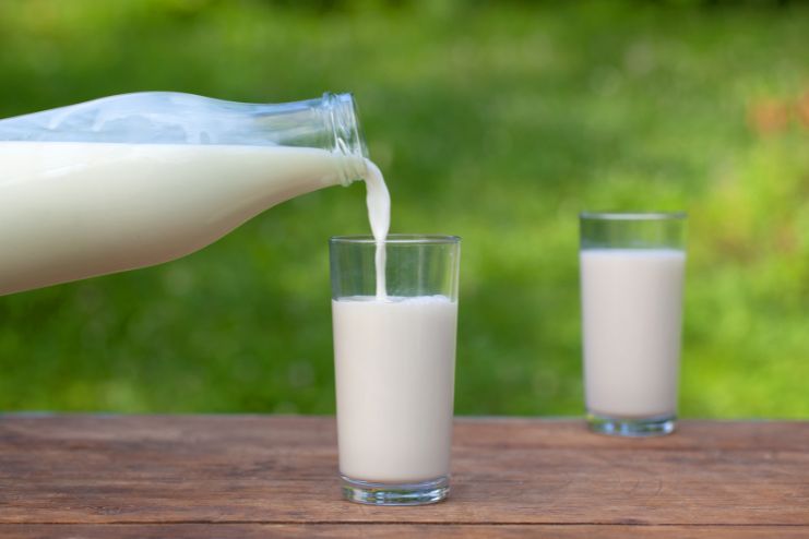 Tips and Precautions While Using Milk For Acid Reflux
