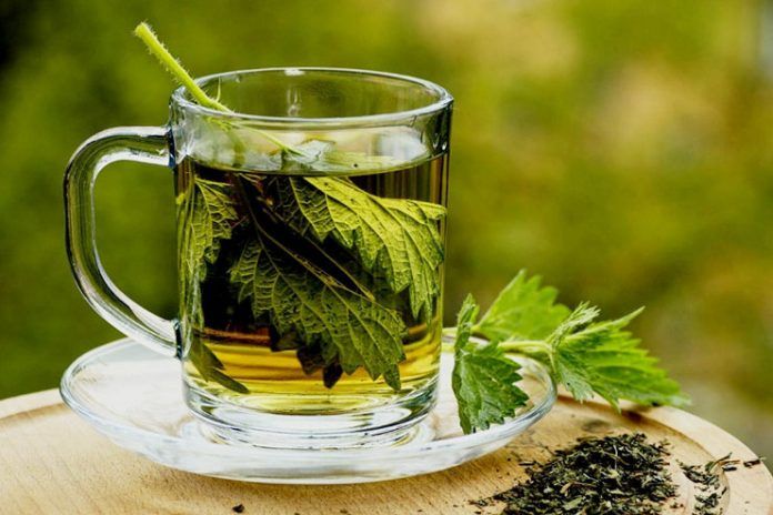 parsley tea benefits